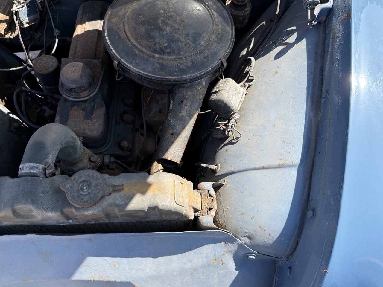 IMG_3520 – grande.jpeg