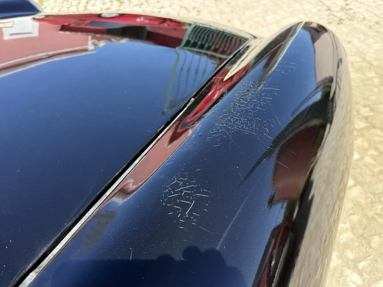 IMG_2199 – grande.jpeg