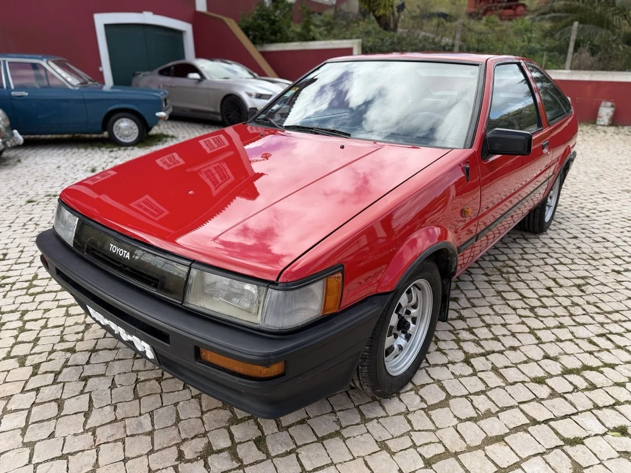 IMG_2414 – grande.jpeg