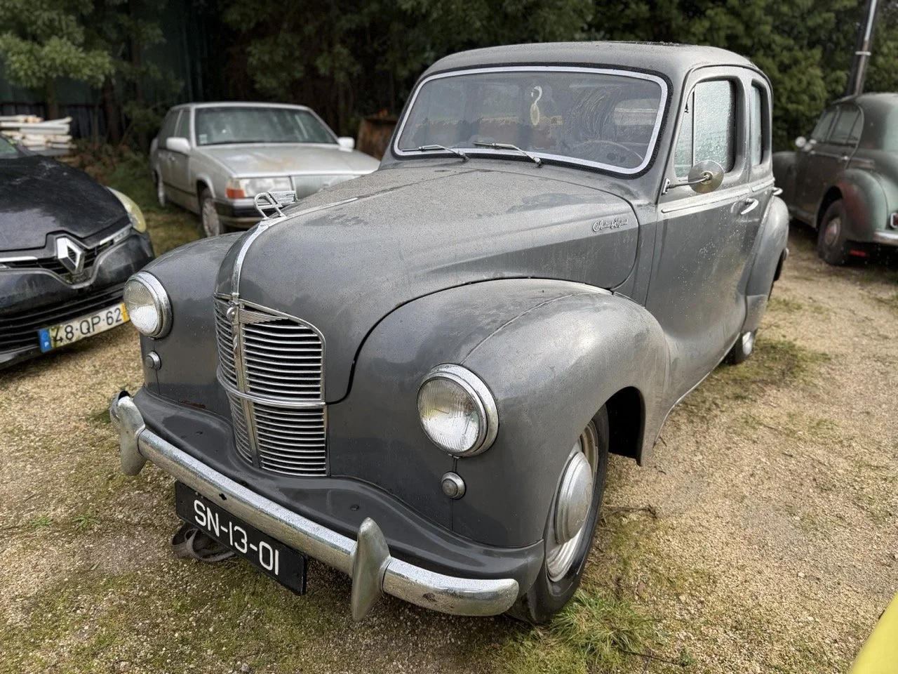 IMG_5623 – grande.jpeg