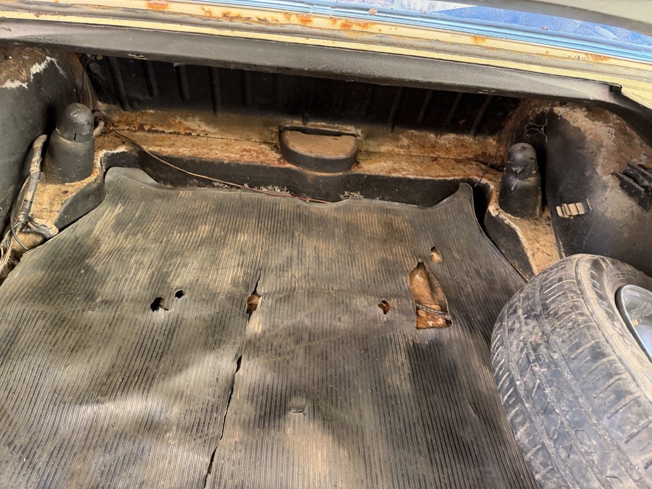 IMG_7088 – grande.jpeg