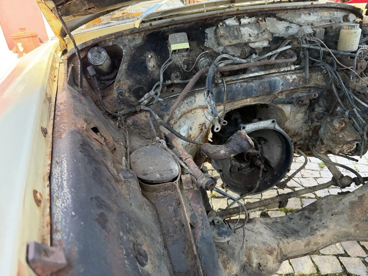 IMG_7104 – grande.jpeg