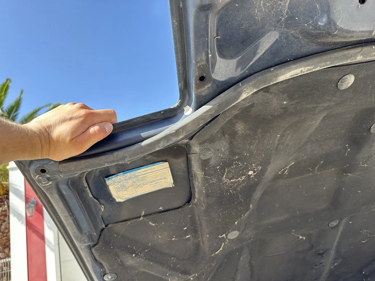 IMG_7217 – grande.jpeg