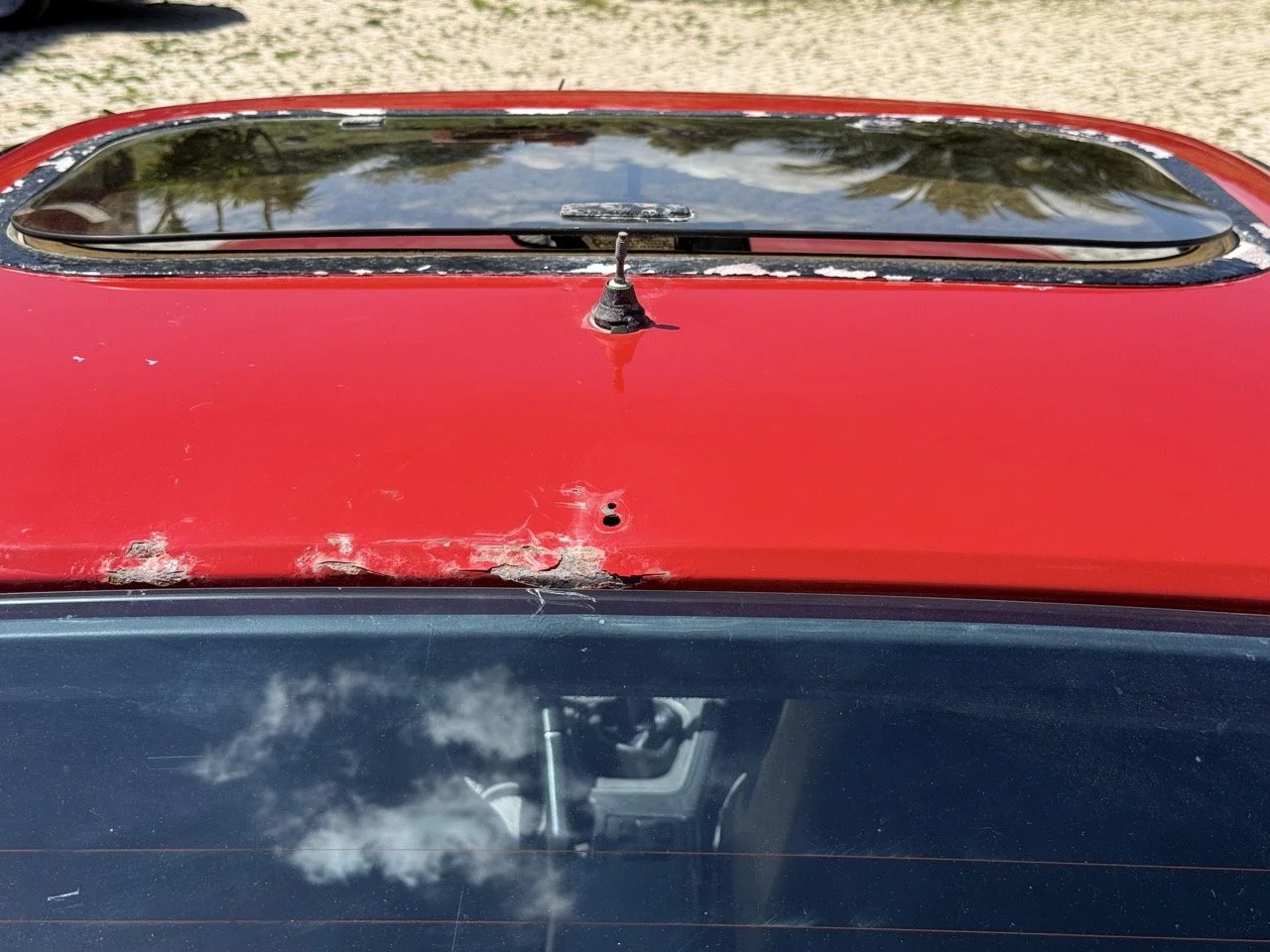 IMG_2093 – grande.jpeg