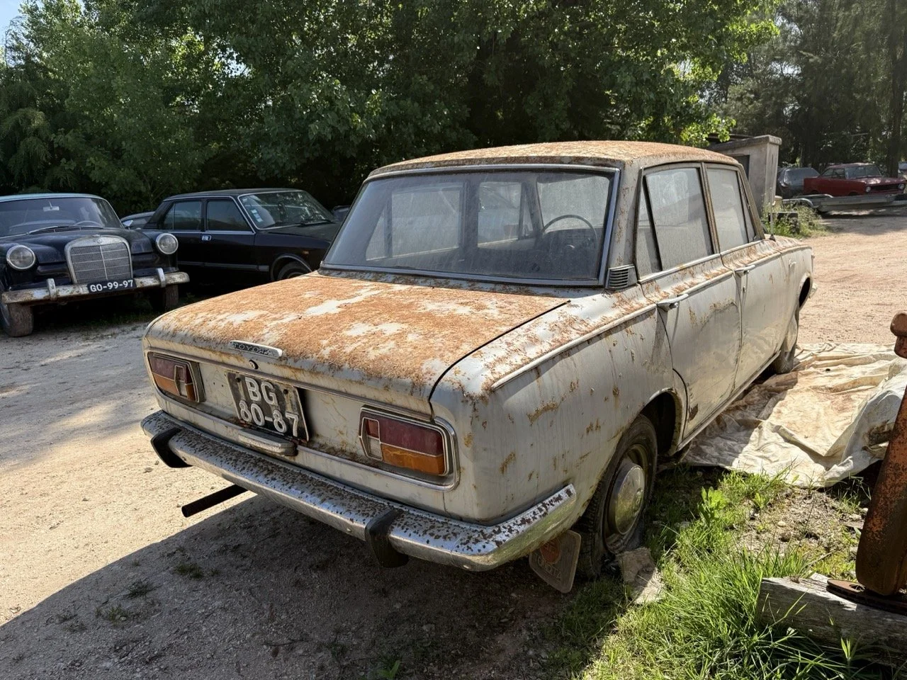 IMG_3226 – grande.jpeg