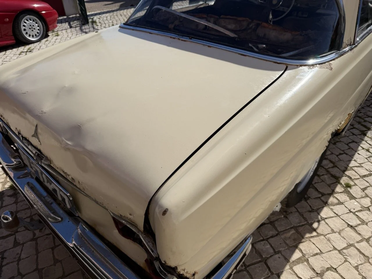 IMG_7050 – grande.jpeg