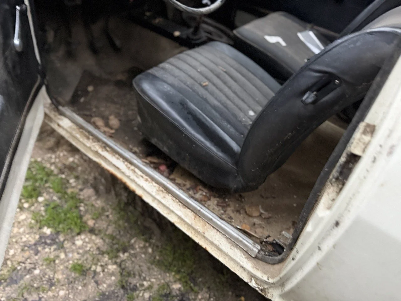 IMG_0119 – grande.jpeg