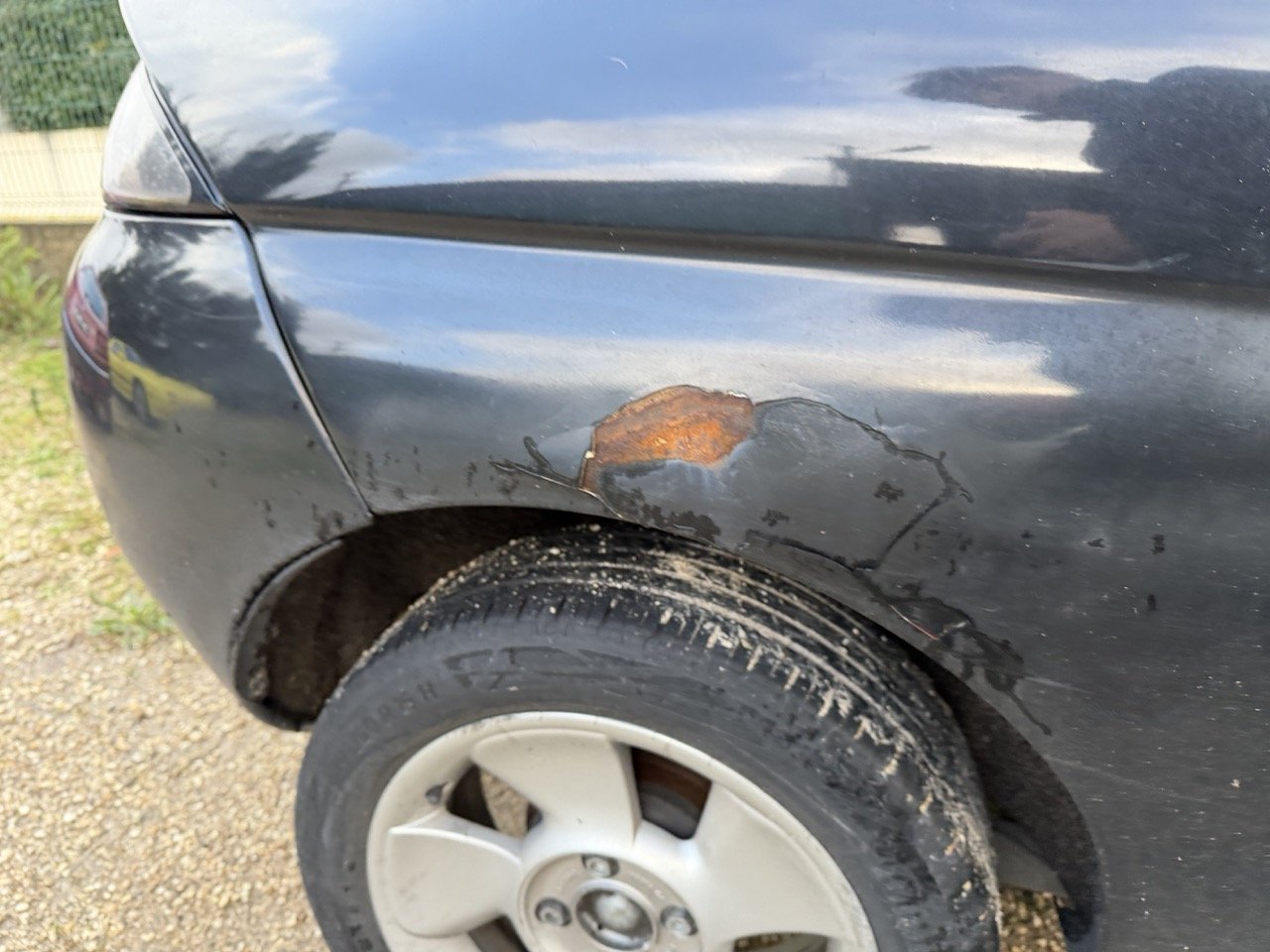 IMG_5329 – grande.jpeg