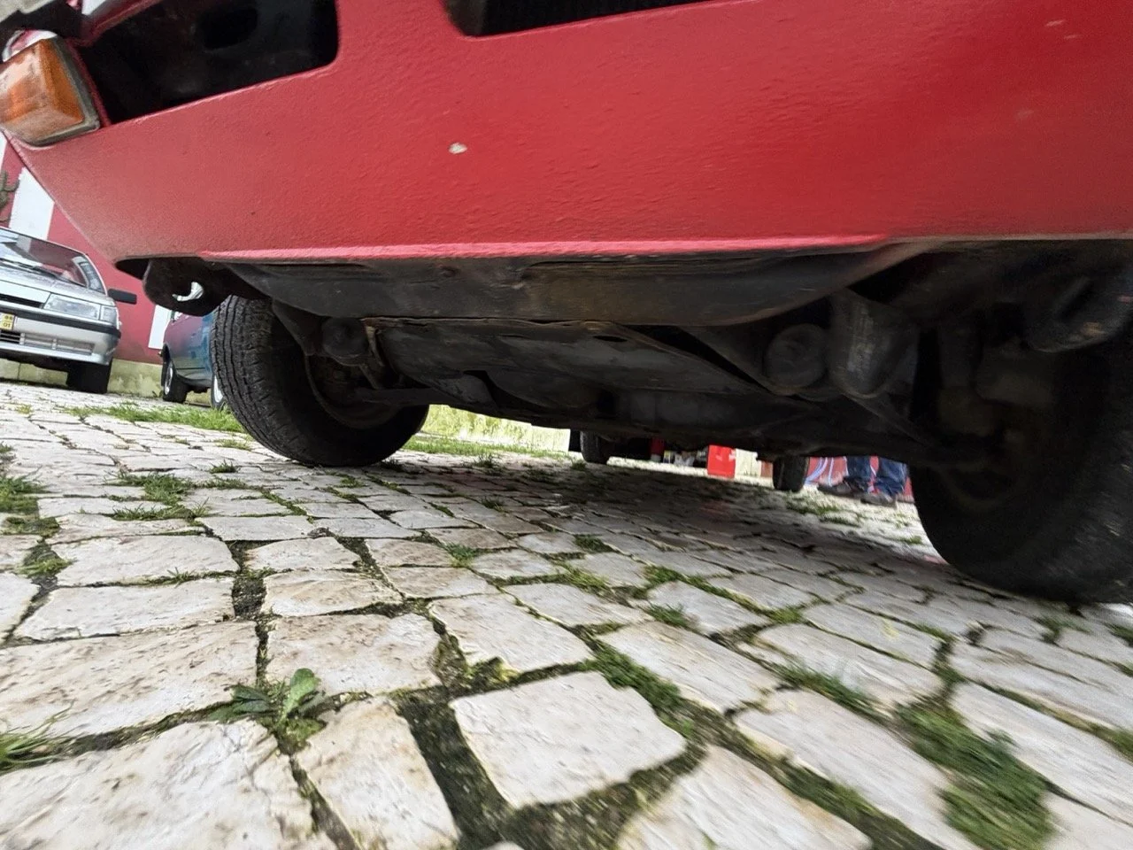 IMG_8329 – grande.jpeg