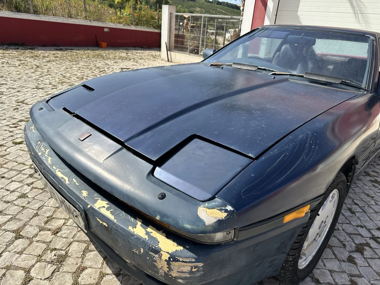 IMG_7239 – grande.jpeg