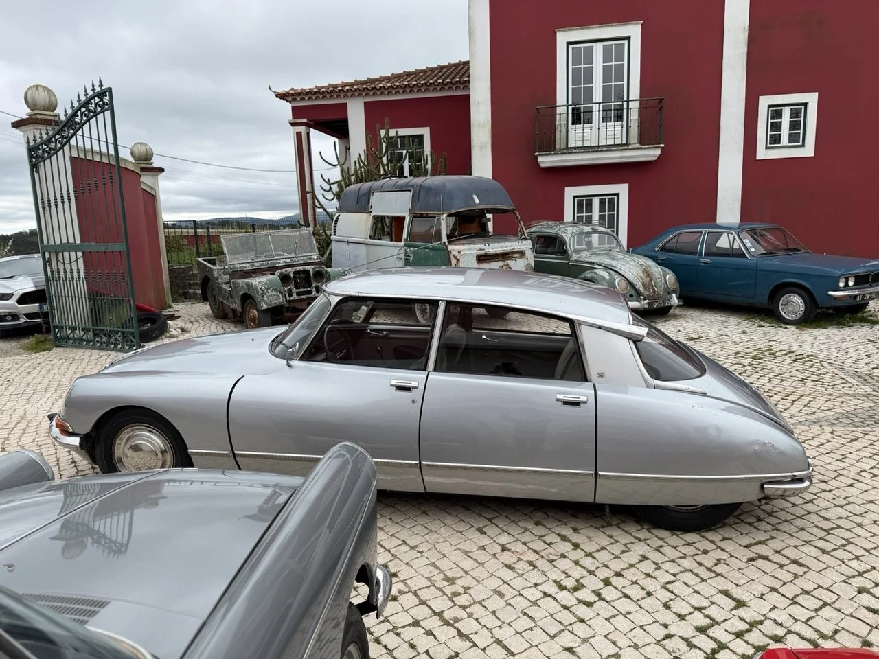 IMG_3666 – grande.jpeg