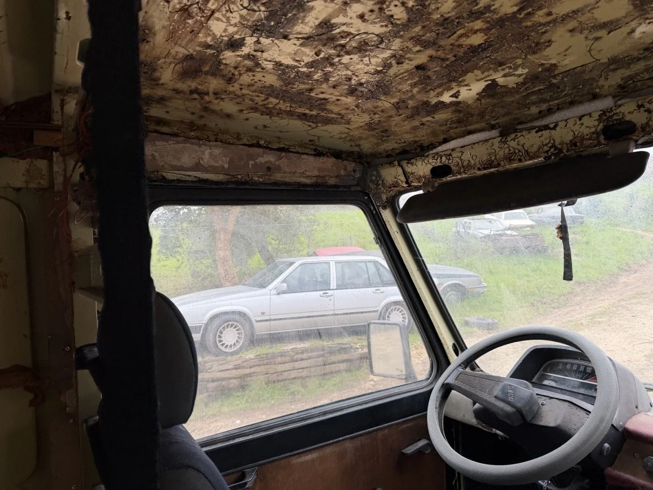 IMG_1338 – grande.jpeg