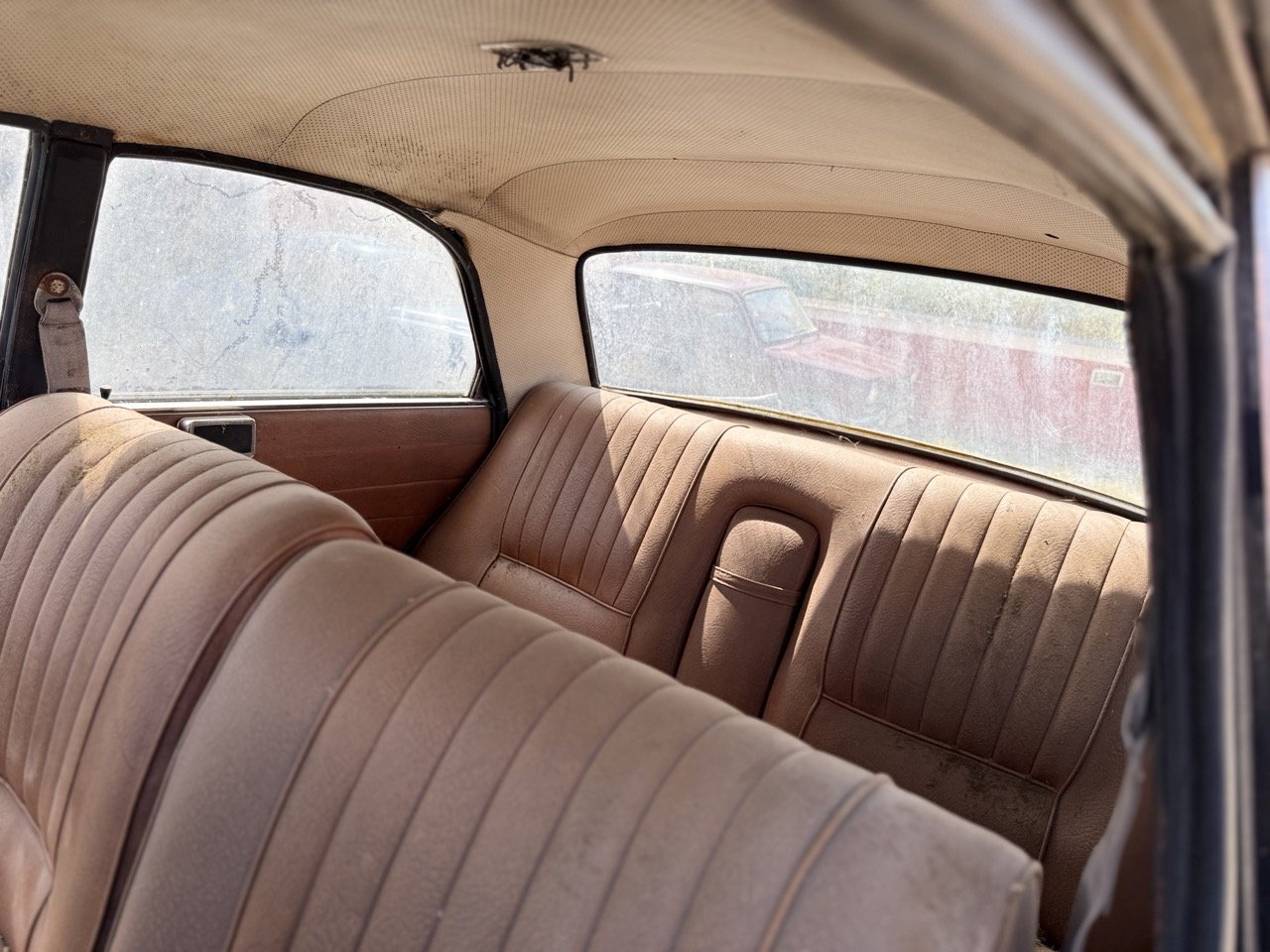 IMG_3467 – grande.jpeg