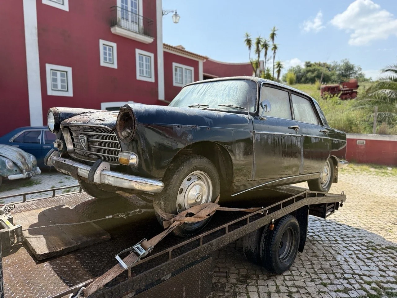 IMG_3454 – grande.jpeg