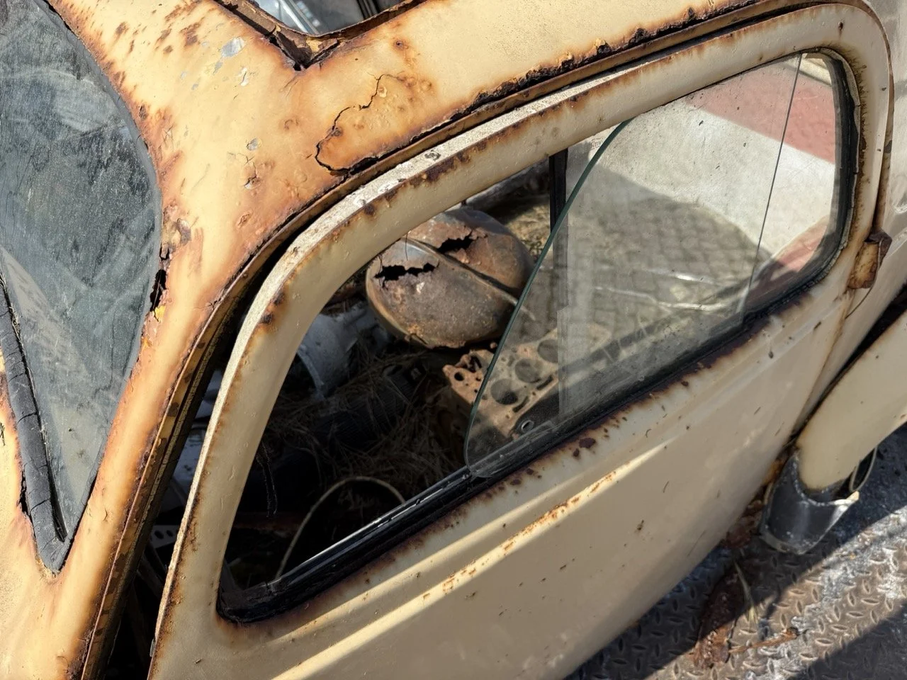 IMG_3173 – grande.jpeg