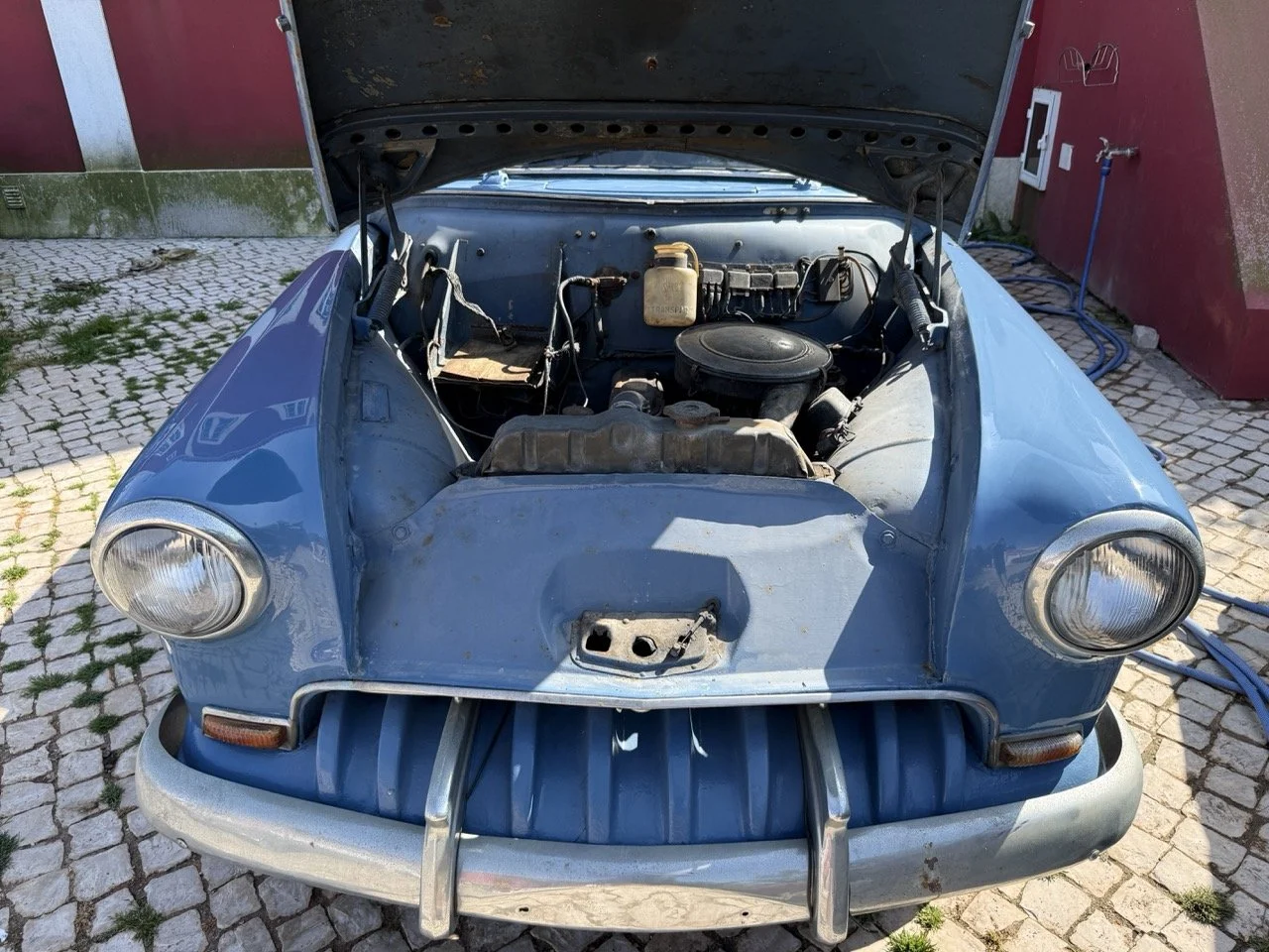 IMG_3515 – grande.jpeg