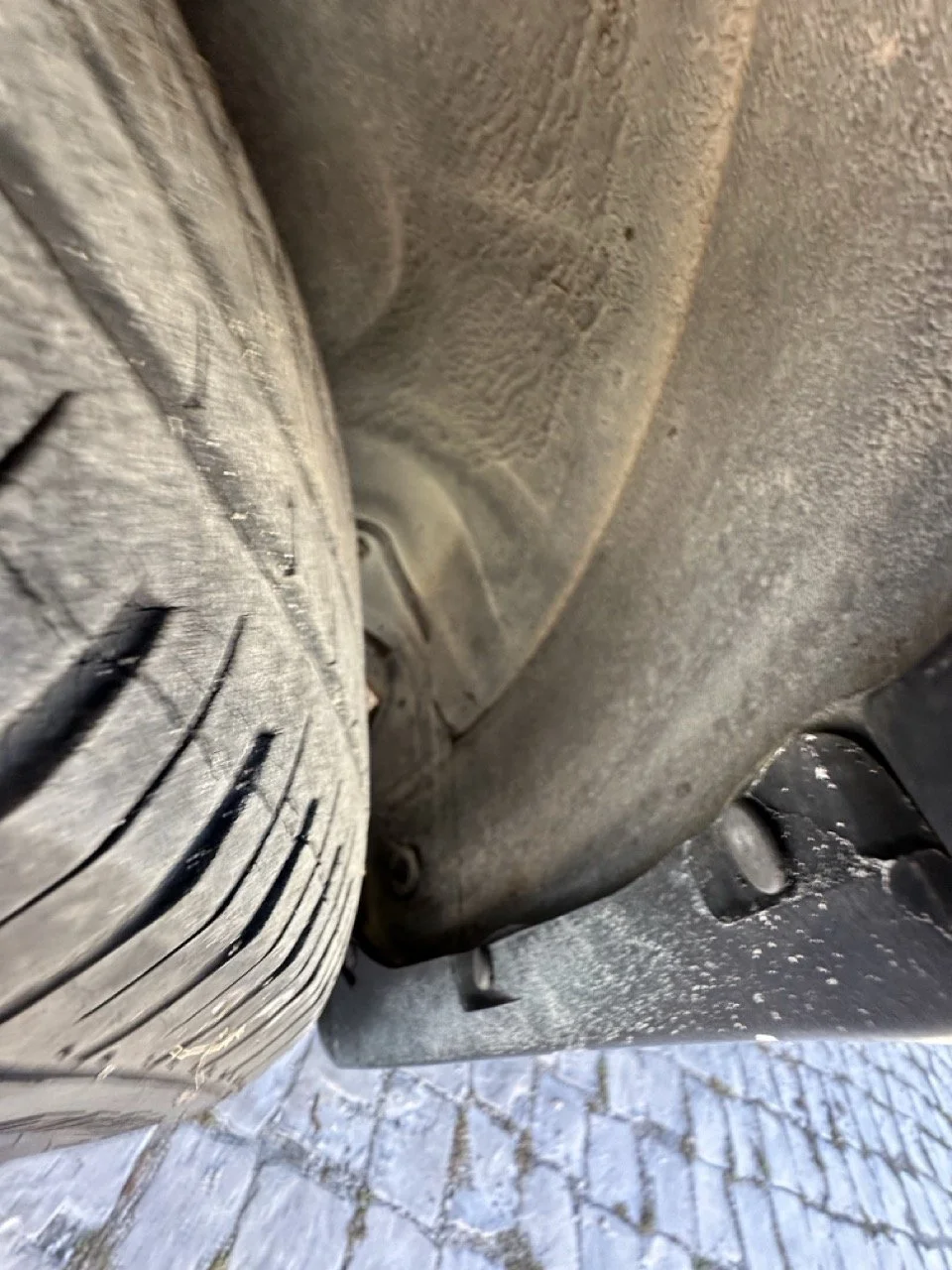 IMG_3135 – grande.jpeg