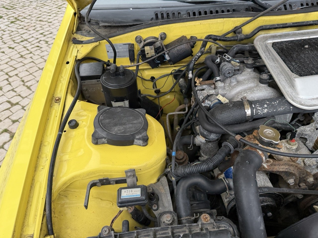 IMG_9758 – grande.jpeg