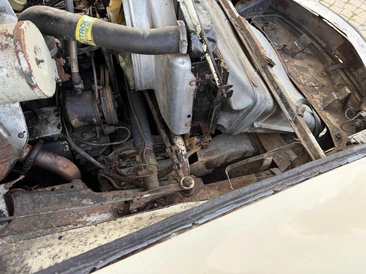 IMG_5963 2 – grande.jpeg