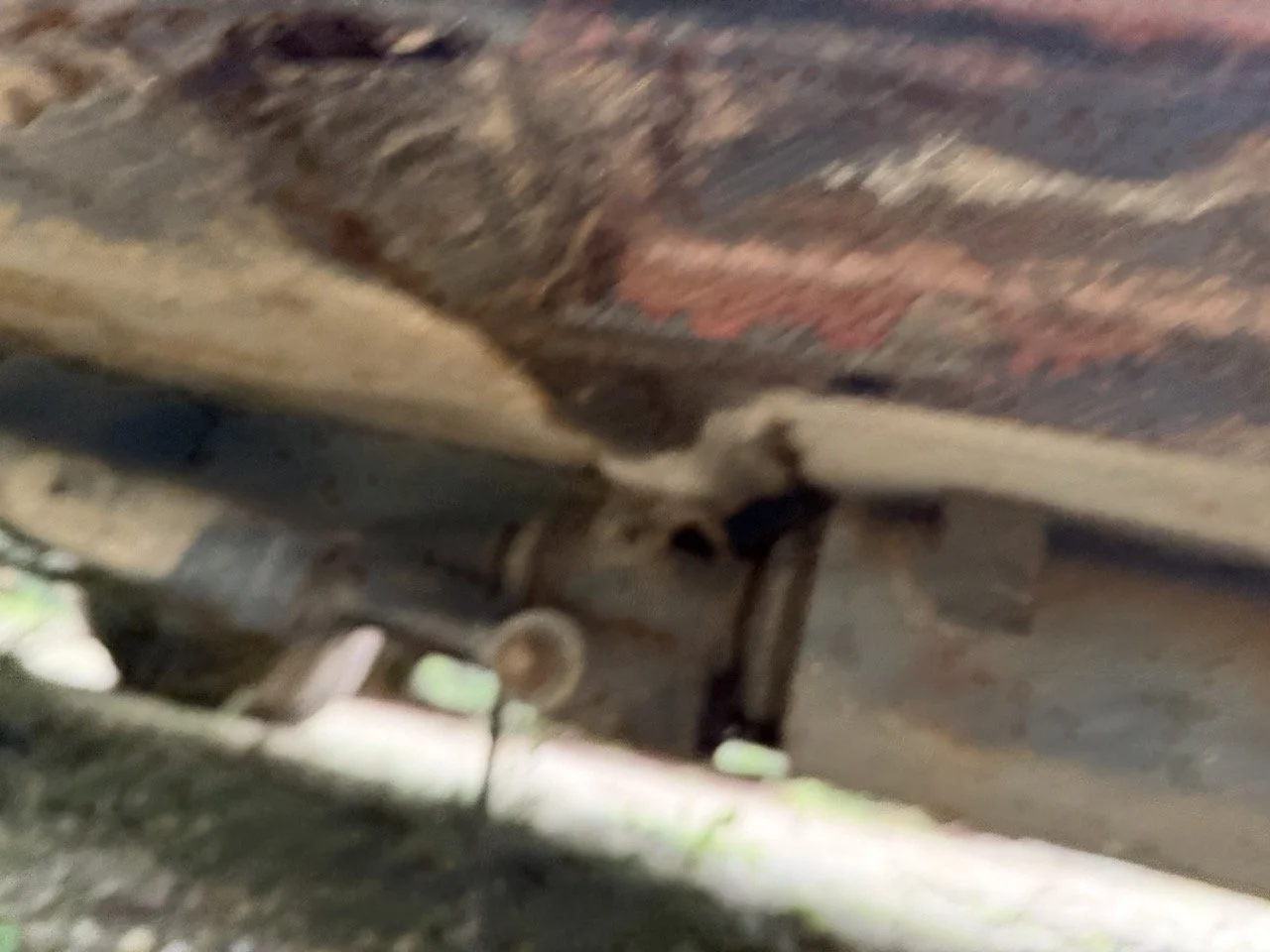 IMG_5518 – grande.jpeg