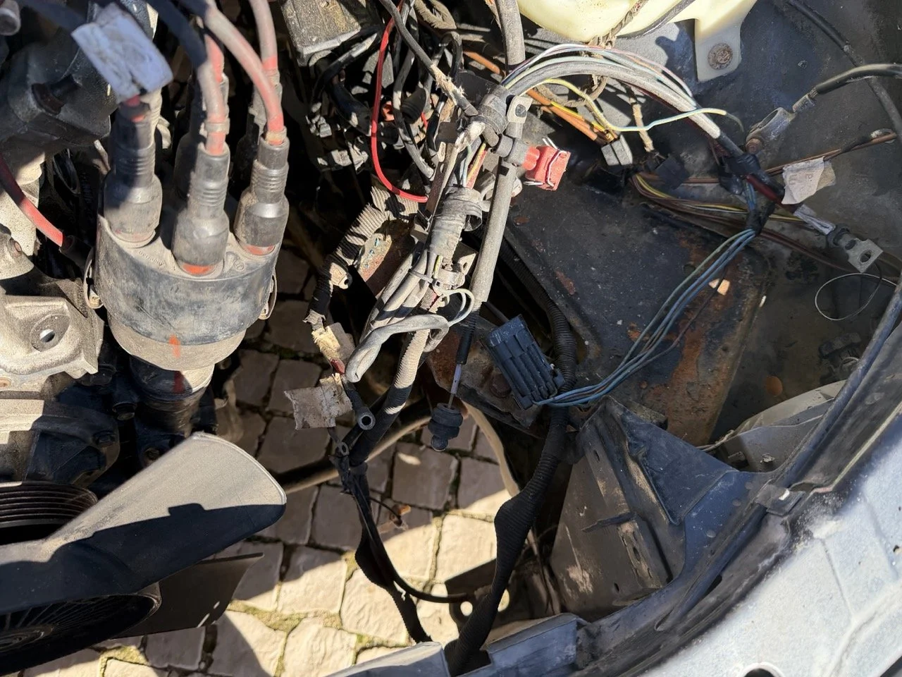 IMG_2756 – grande.jpeg