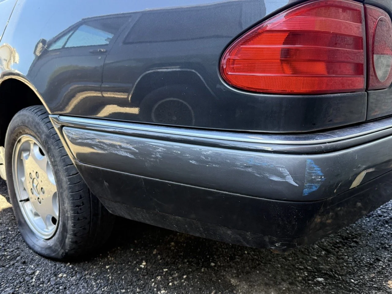 IMG_1791 – grande.jpeg