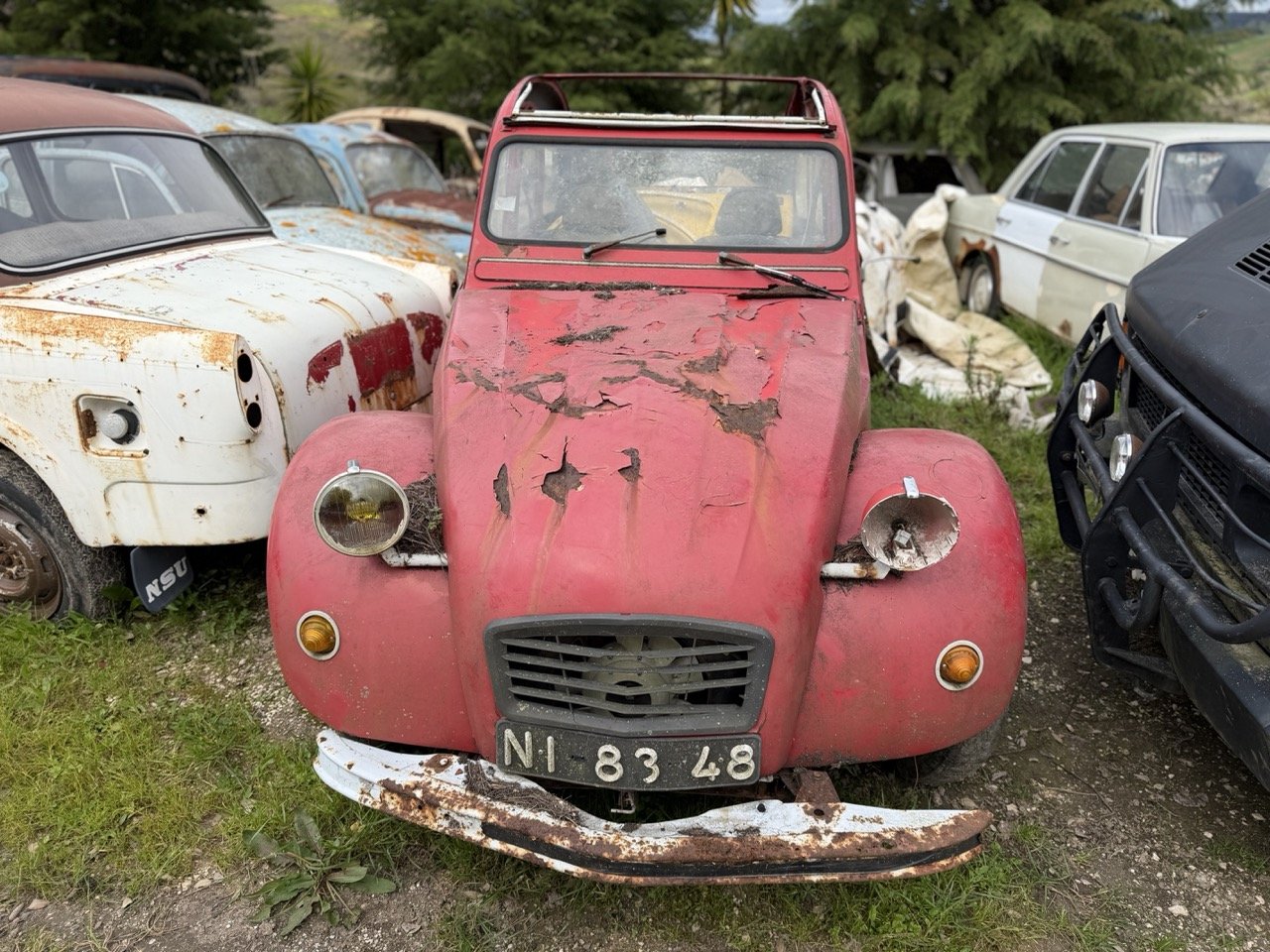 IMG_3844 – grande.jpeg