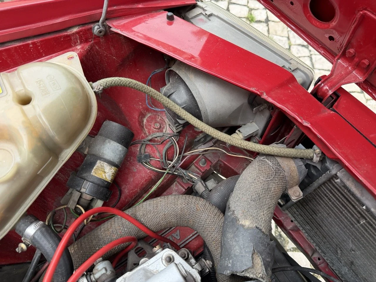 IMG_3485 – grande.jpeg