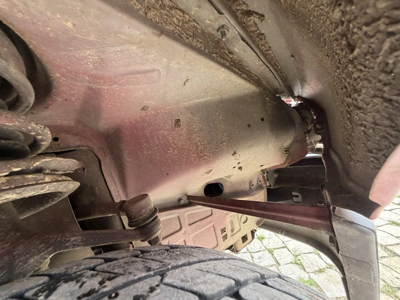 IMG_3533 – grande.jpeg