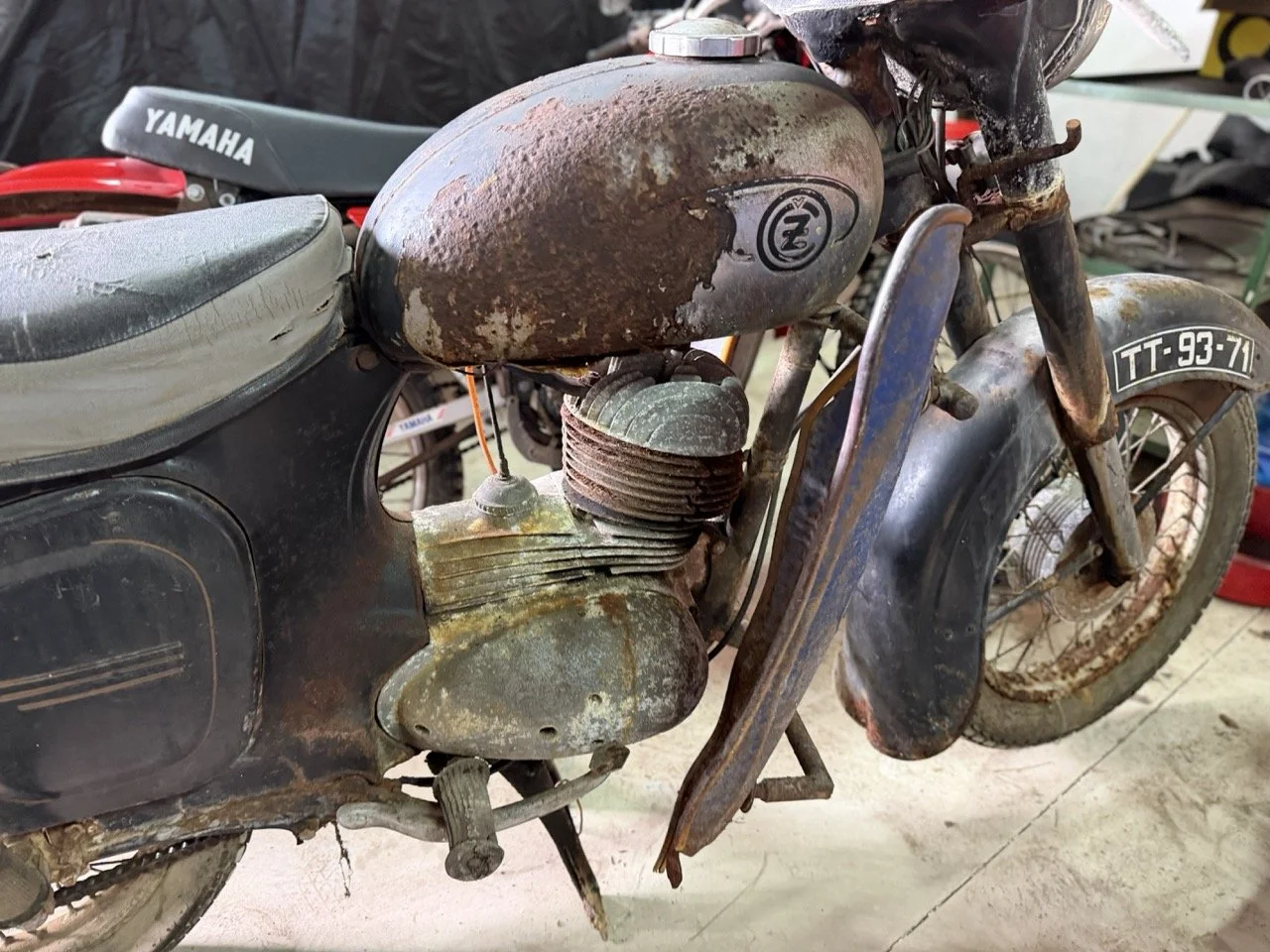 IMG_2168 – grande.jpeg