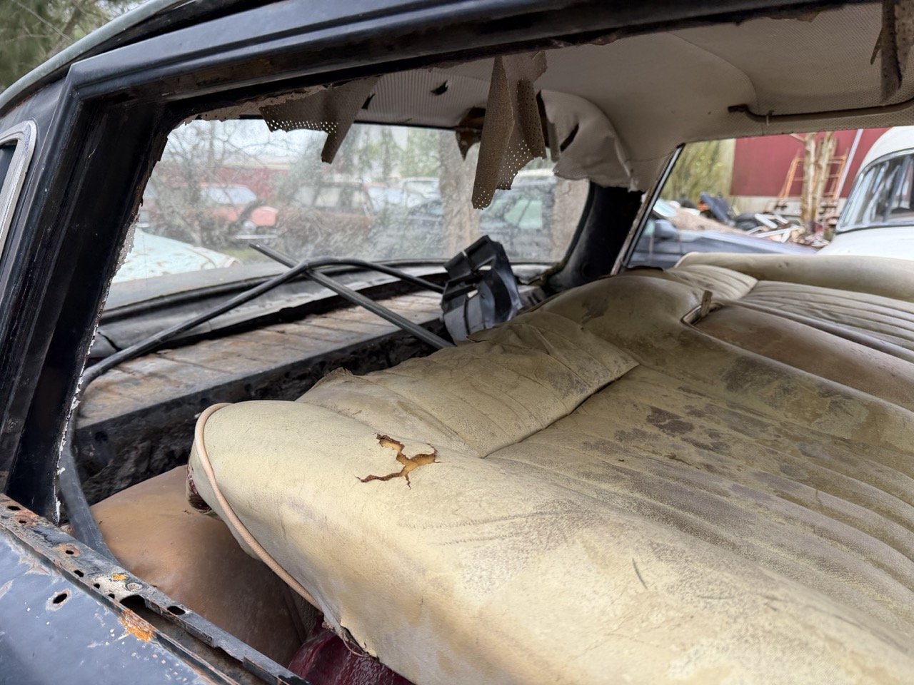 IMG_1926 – grande.jpeg