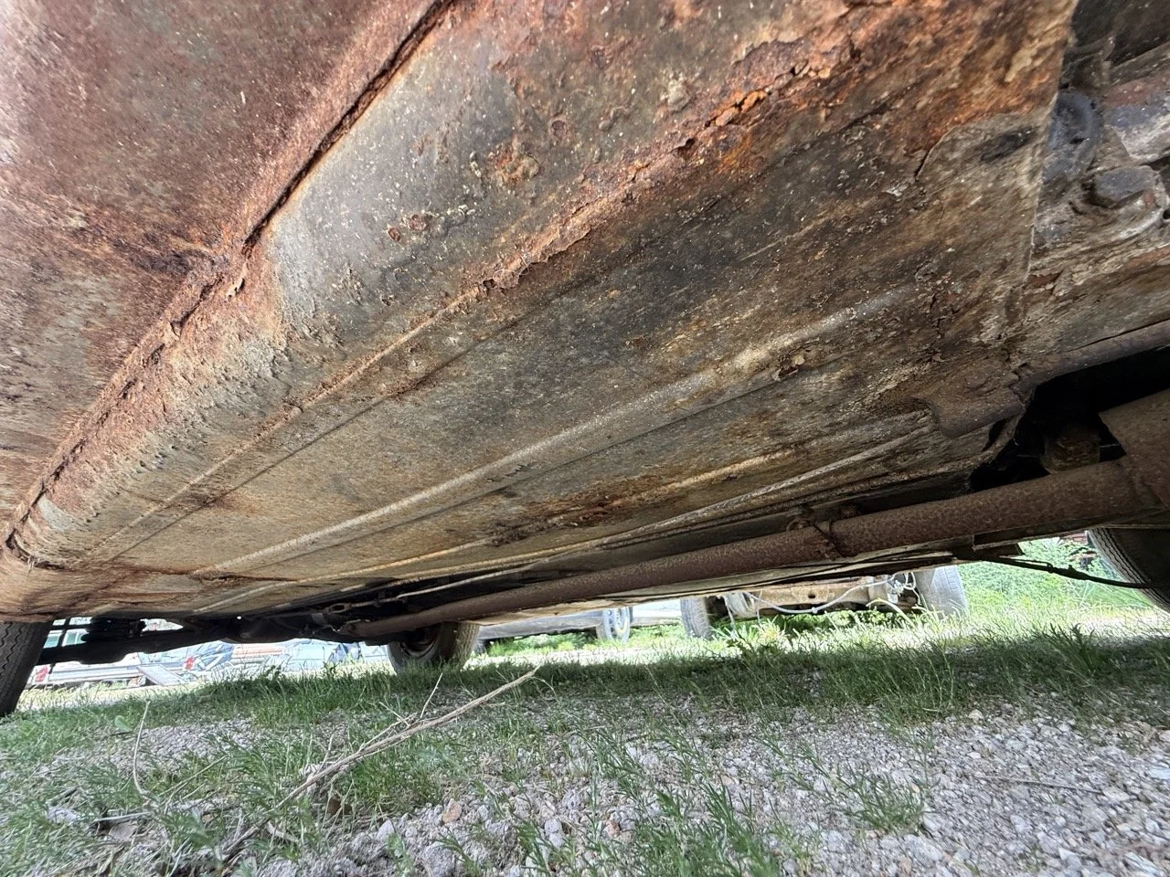 IMG_1432 – grande.jpeg