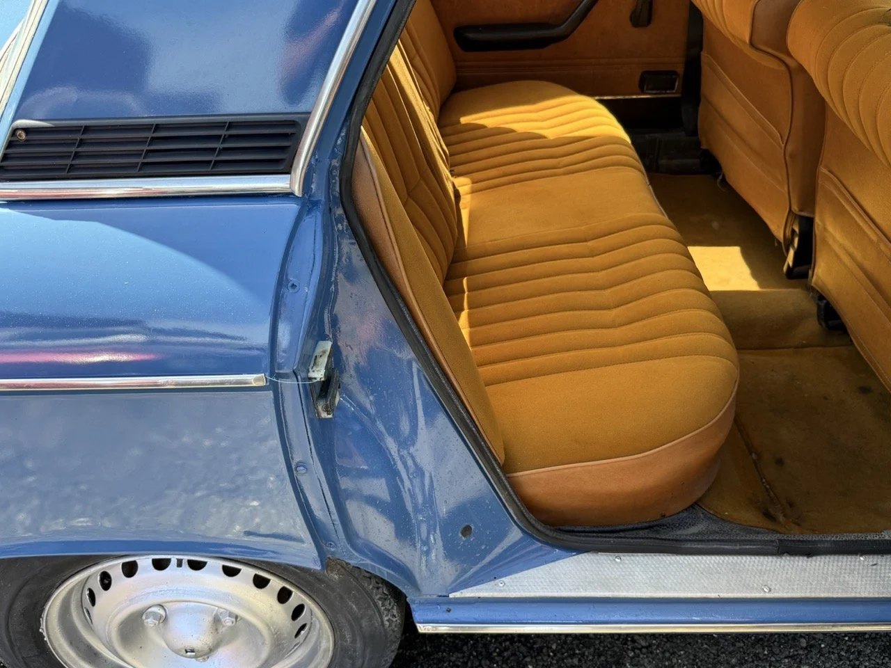 IMG_0779 – grande.jpeg