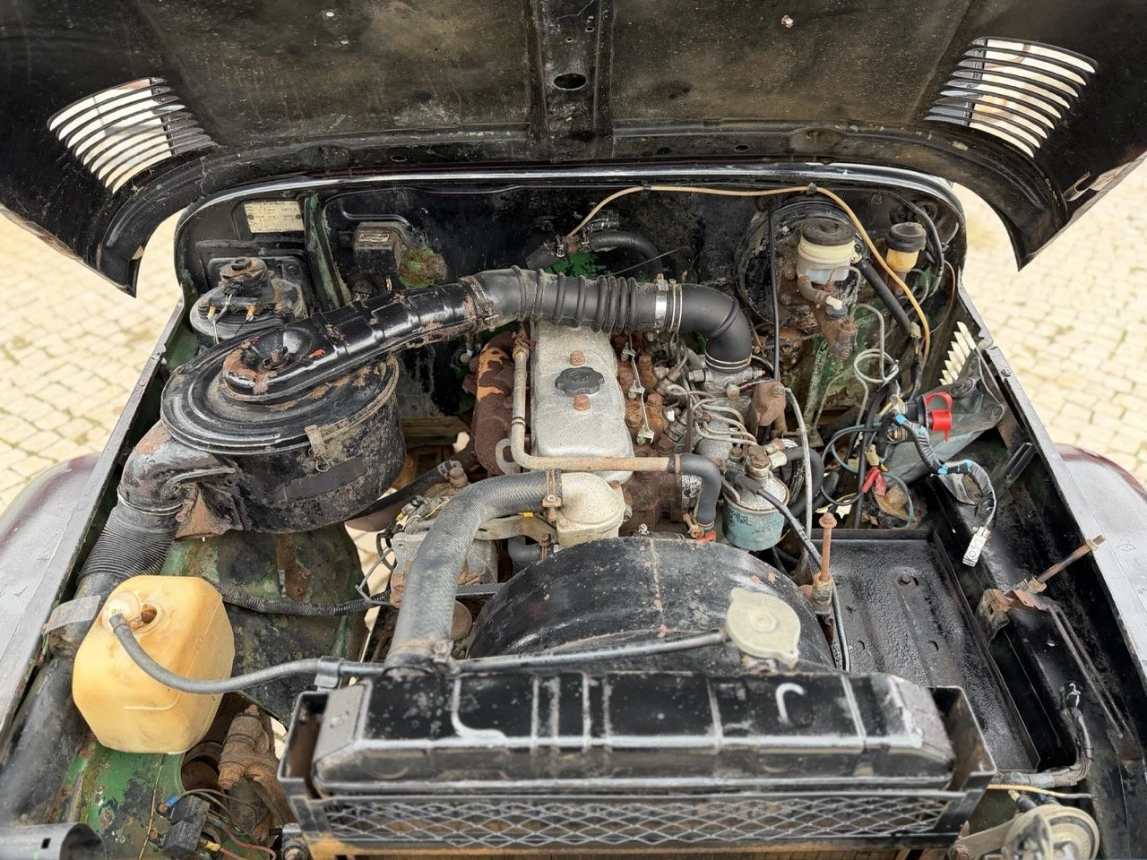 IMG_6475 – grande.jpeg