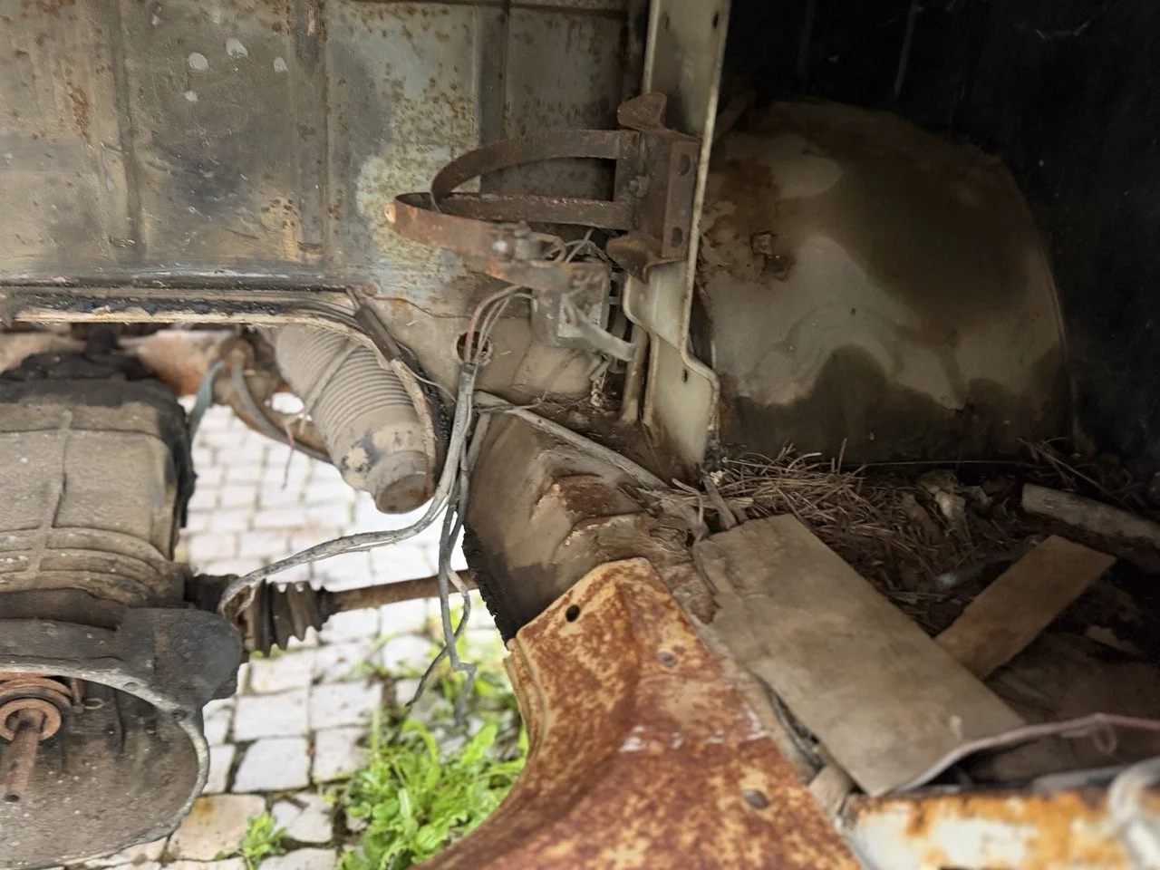 IMG_0789 – grande.jpeg