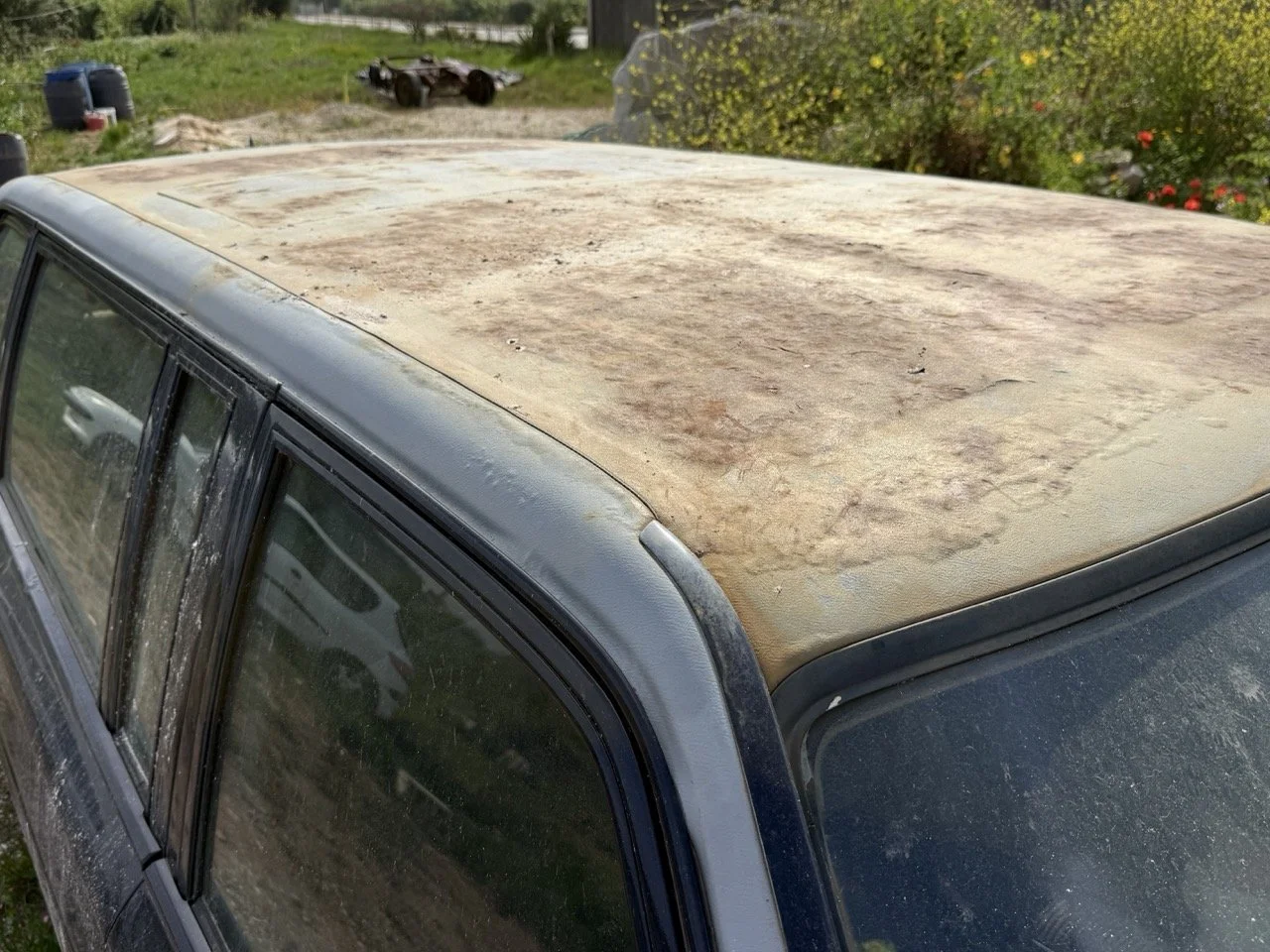 IMG_3408 – grande.jpeg