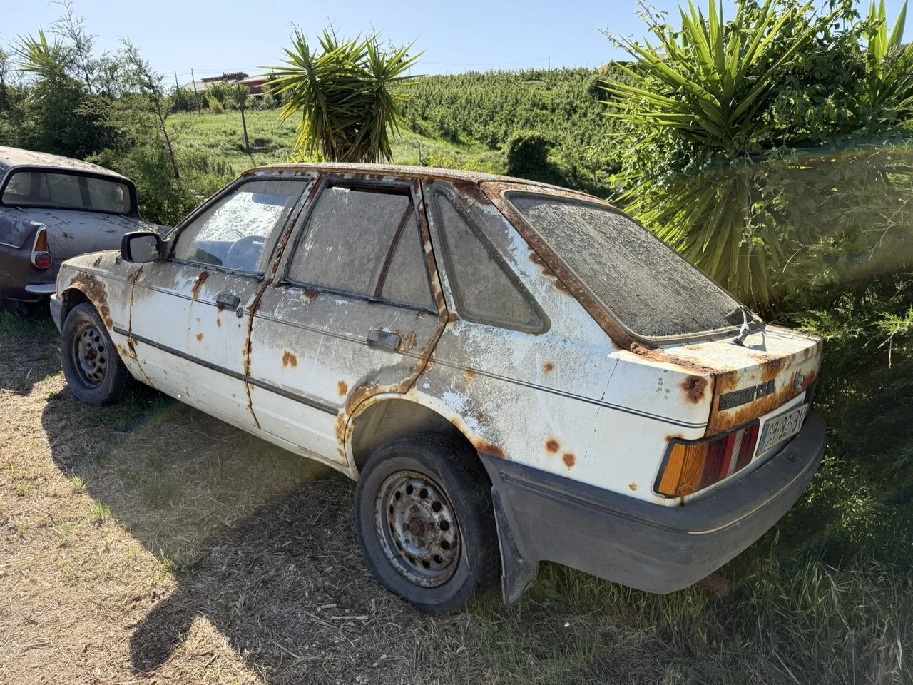 IMG_3086 – grande.jpeg