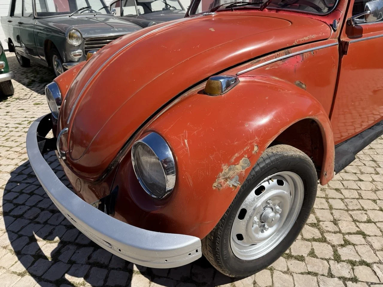 IMG_7570 – grande.jpeg