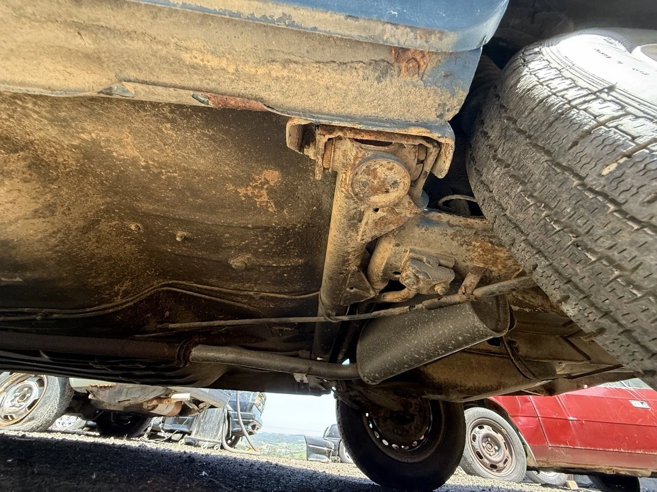 IMG_0805 – grande.jpeg