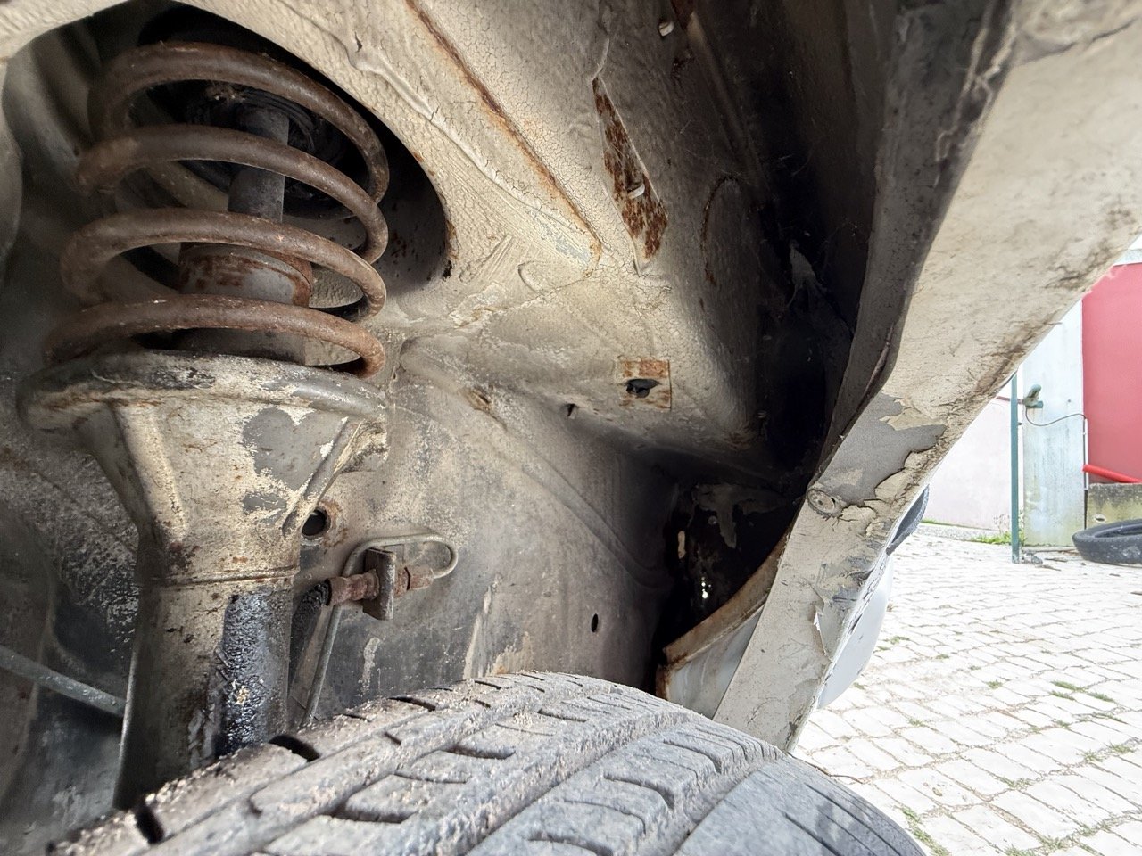 IMG_8648 – grande.jpeg