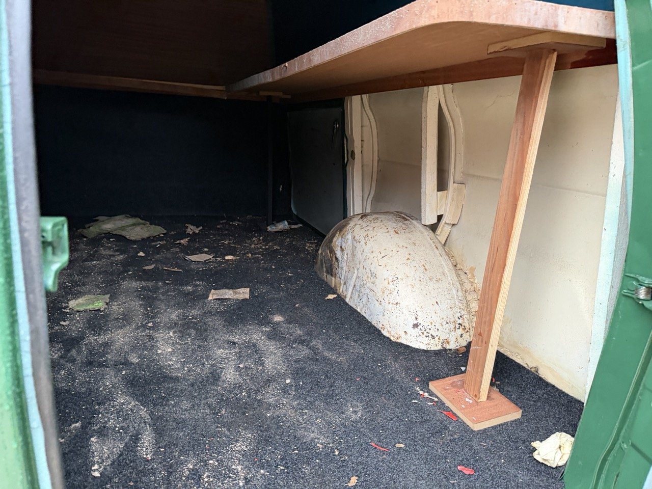 IMG_9947 – grande.jpeg