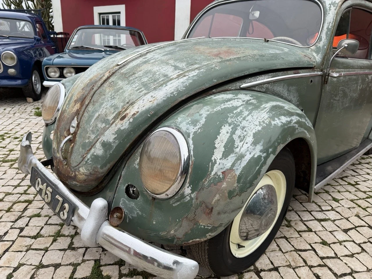 IMG_1191 – grande.jpeg