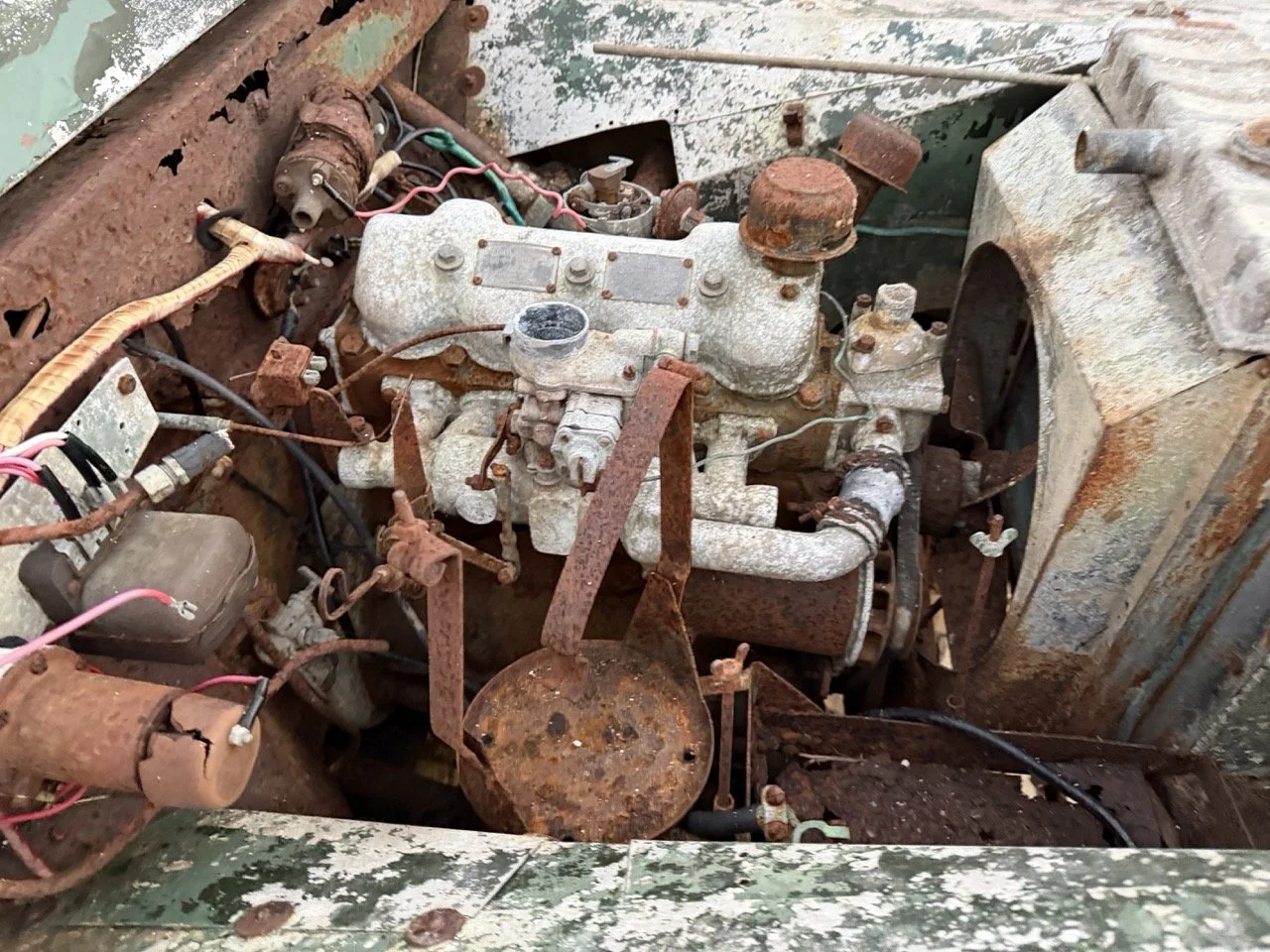 IMG_7440 – grande.jpeg