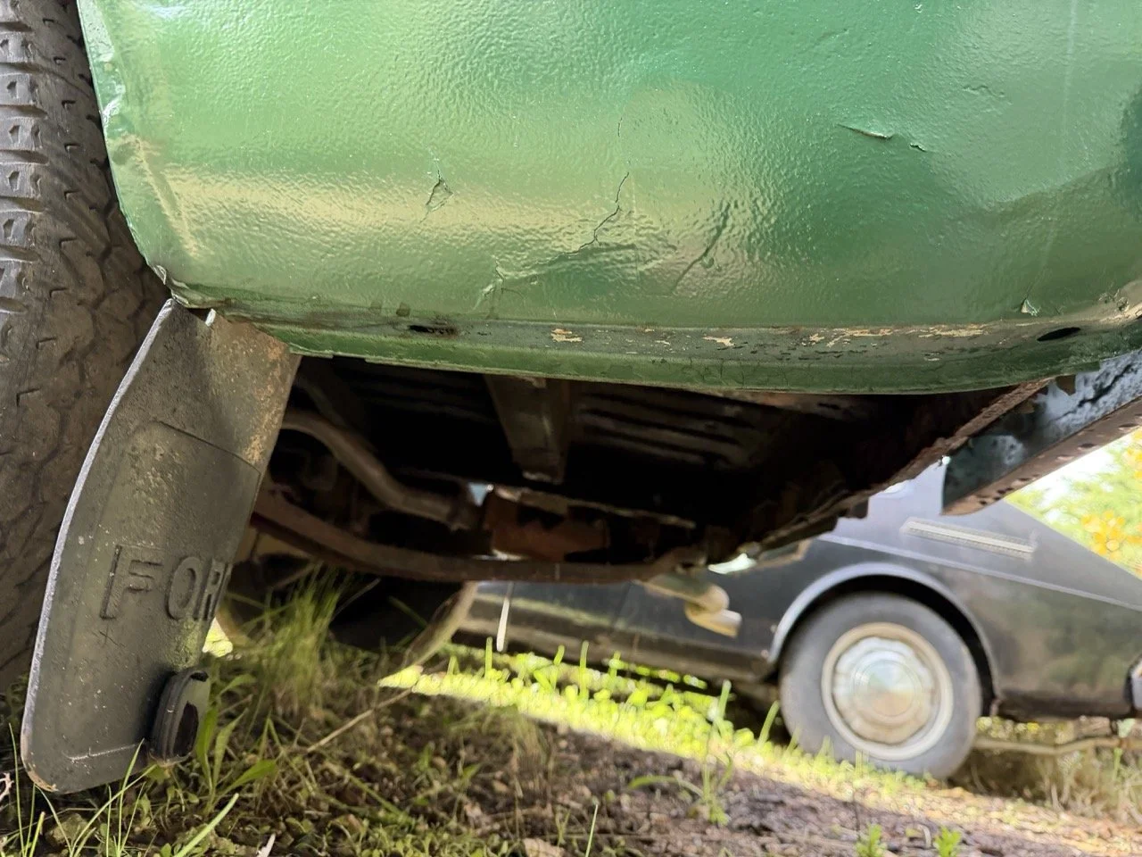 IMG_3910 – grande.jpeg