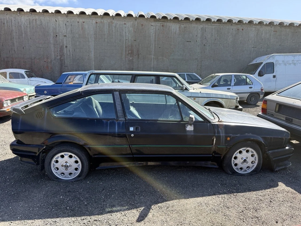 IMG_2893 – grande.jpeg