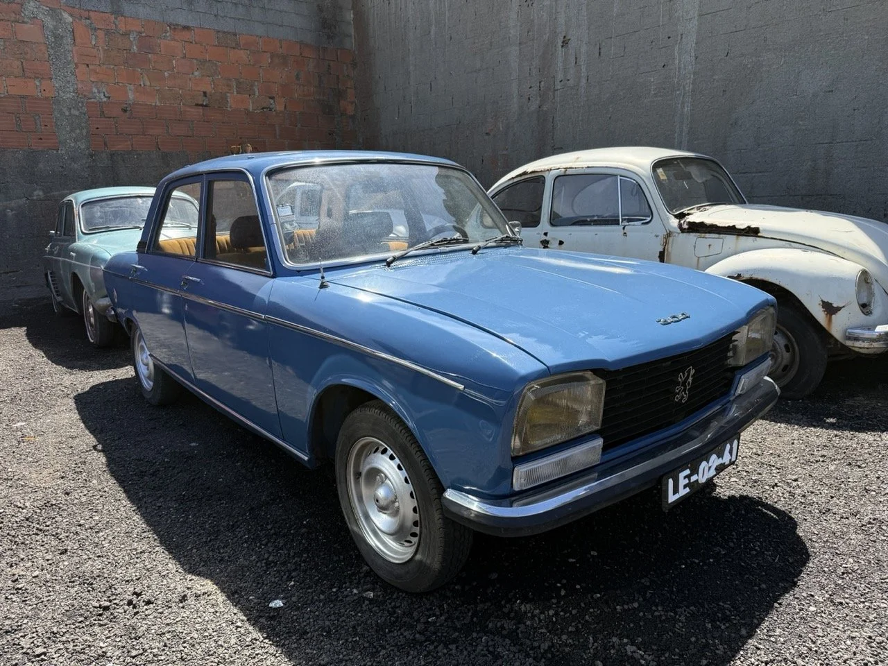 IMG_0735 – grande.jpeg