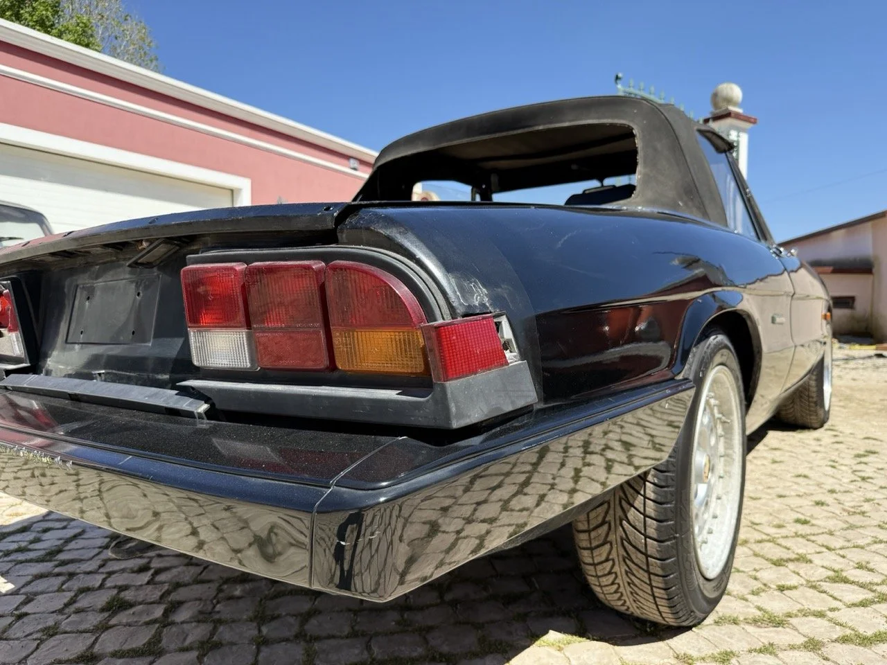 IMG_2162 – grande.jpeg