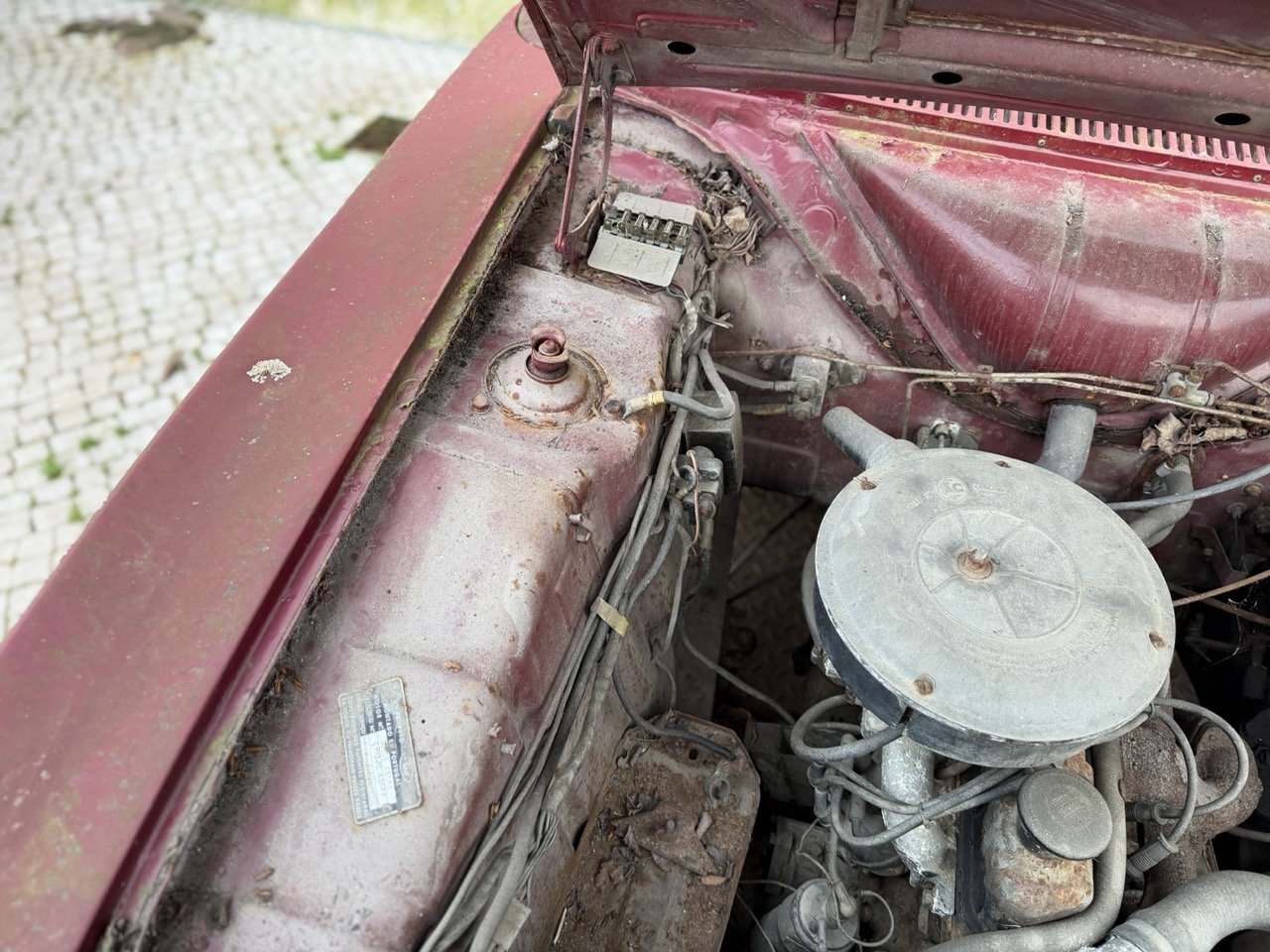 IMG_8957 – grande.jpeg