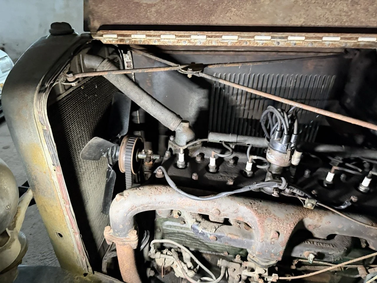 IMG_2450 – grande.jpeg