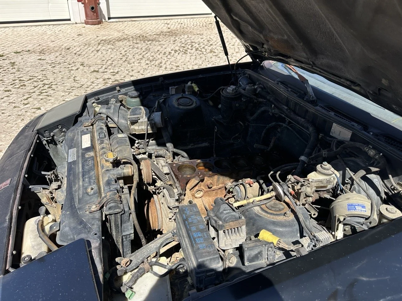 IMG_3063 – grande.jpeg